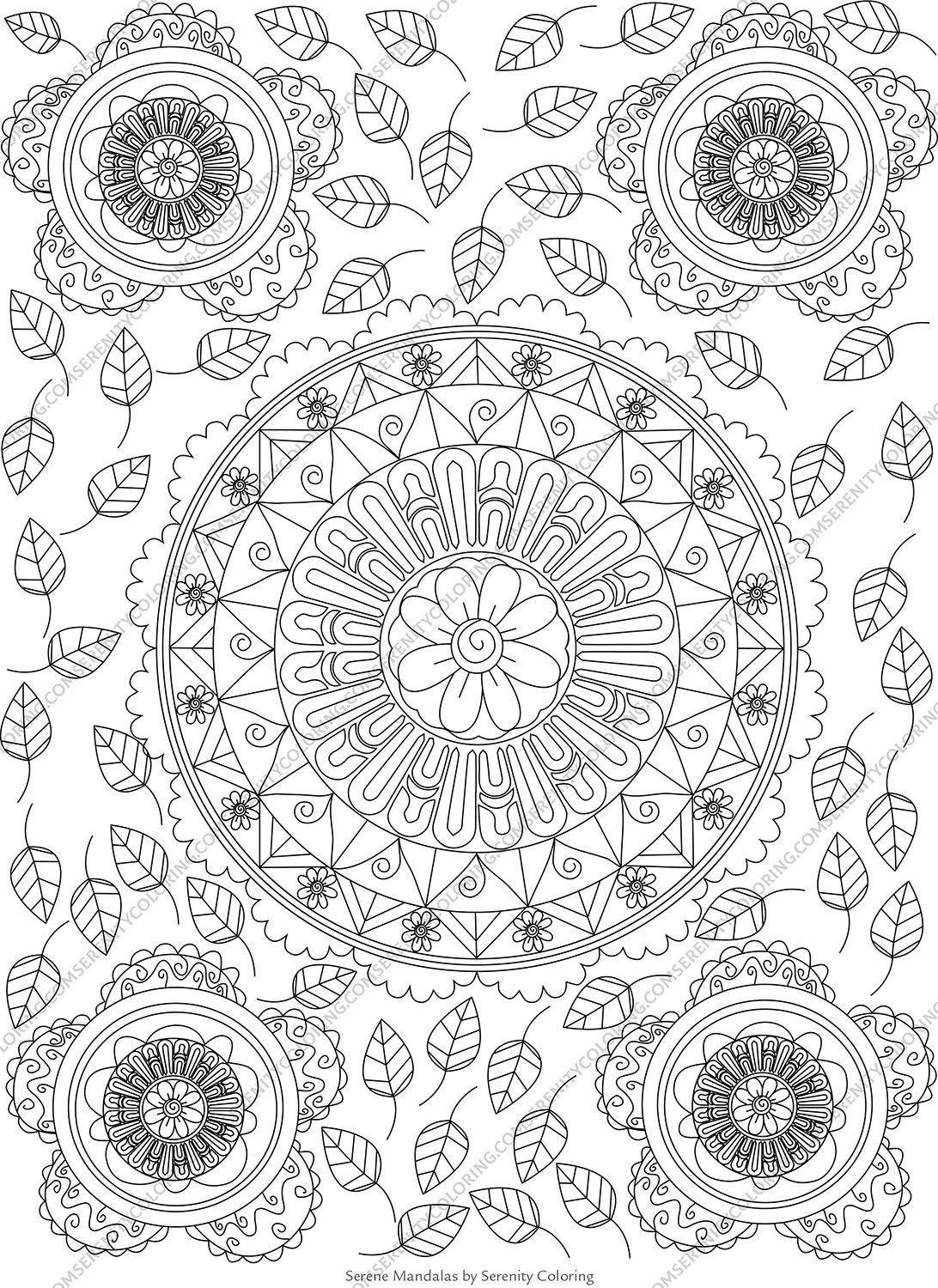 Serene Mandalas floral coloring page with intricate flower mandala, leaf pattern background, and corner medallions for adult coloring books